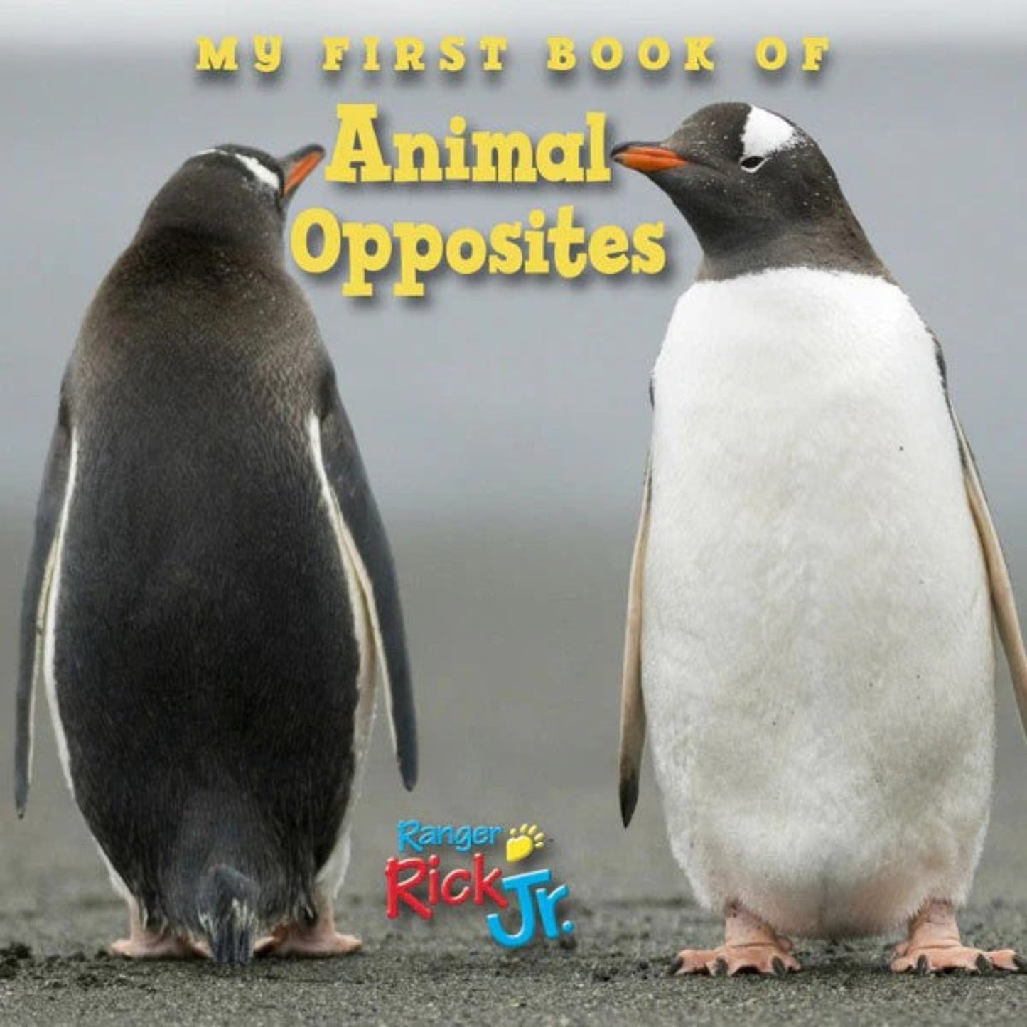ANIMAL OPPOSITES