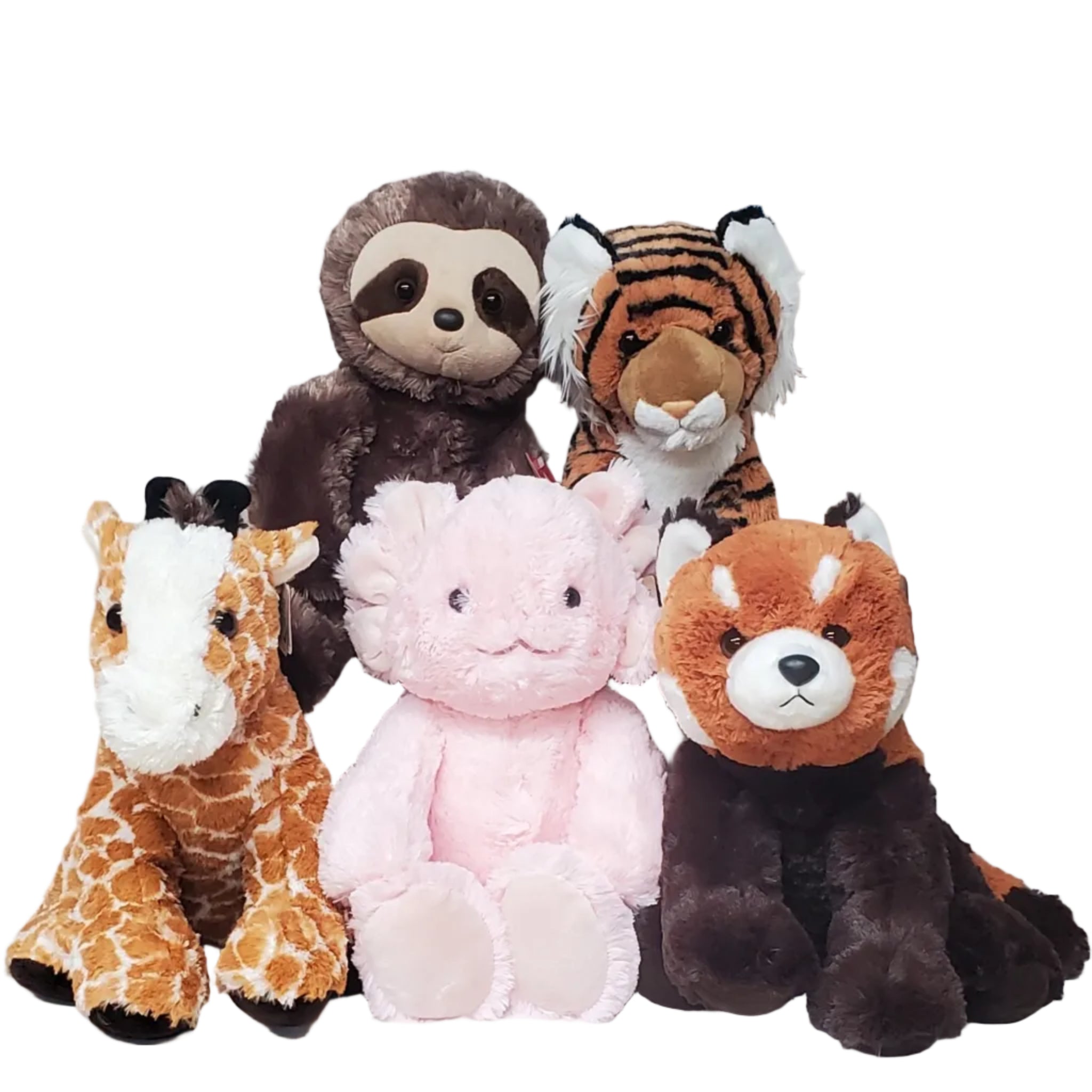 CARE COMPANION PROGRAM DONATABLE PLUSH – Detroit Zoo Retail Store