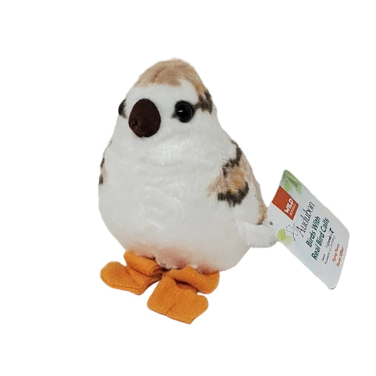 PIPING PLOVER CHICK PLUSH