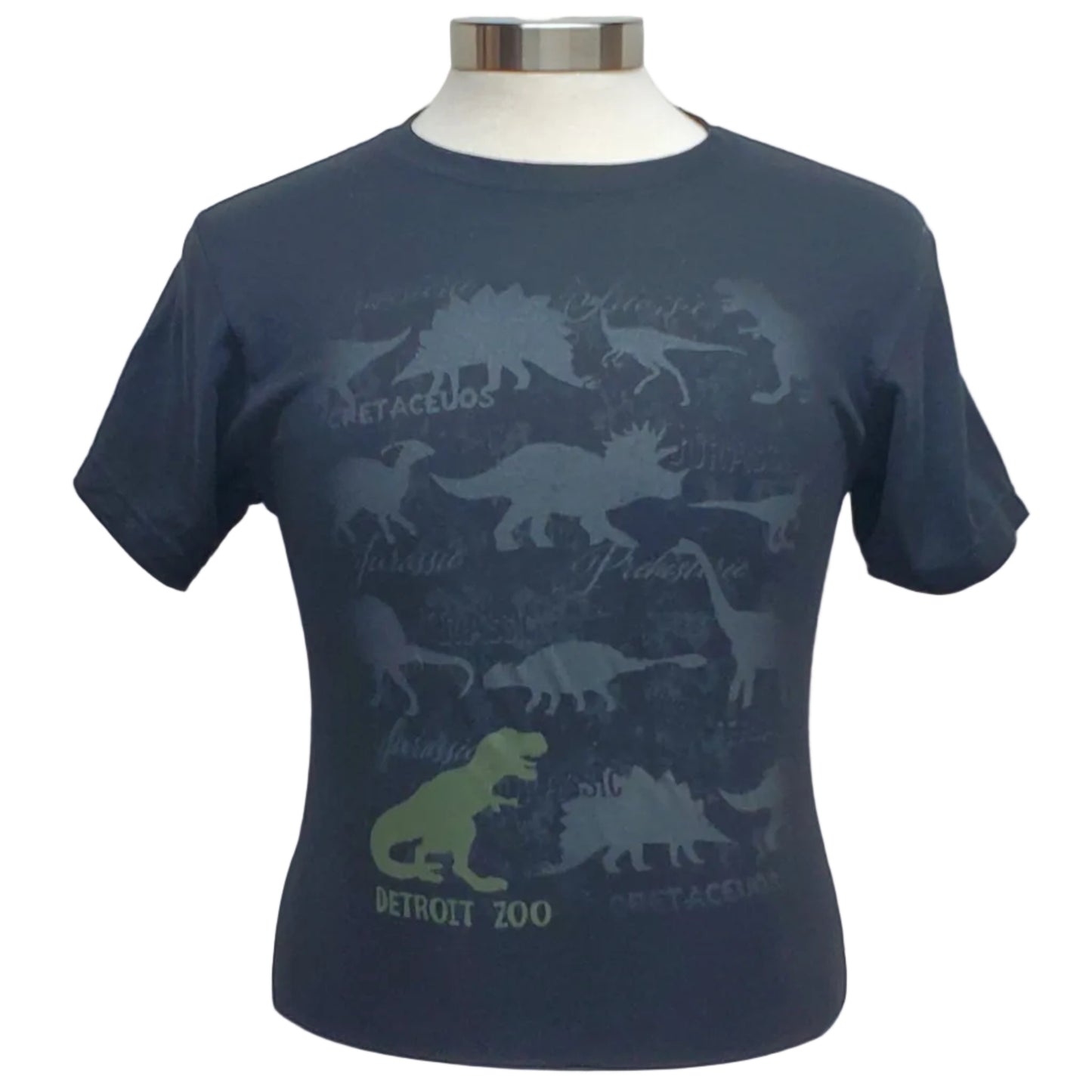 ADULT TEE DINO REPEAT