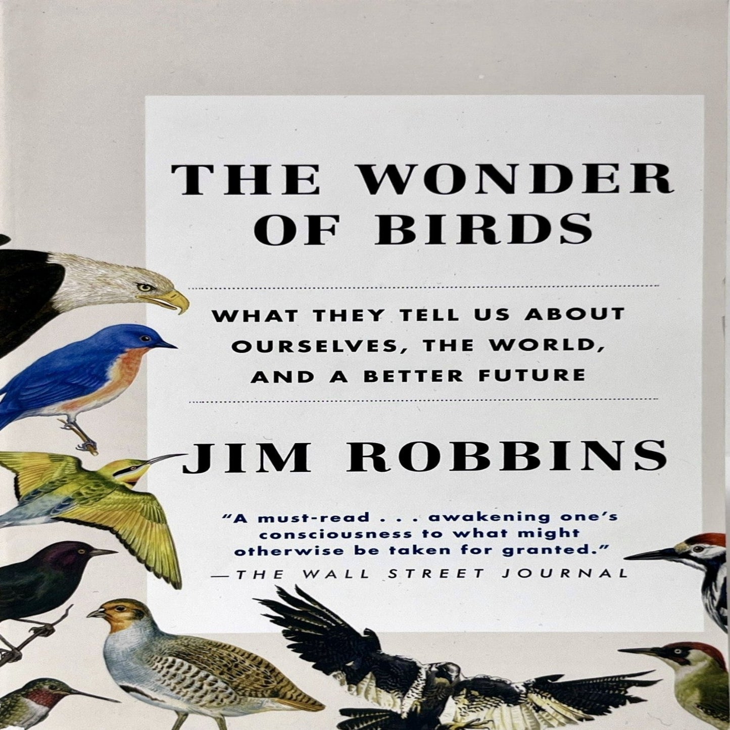 THE WONDER OF BIRDS